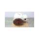 24ca3374-ref-toshiba