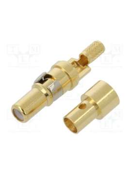 131j20029x-conec