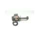 8p3-xlong-ref-ruthman