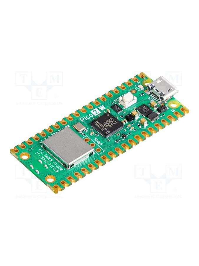 raspberry pi pico 2w-raspberry pi