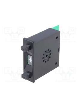 gpf215111-plaimae corporation