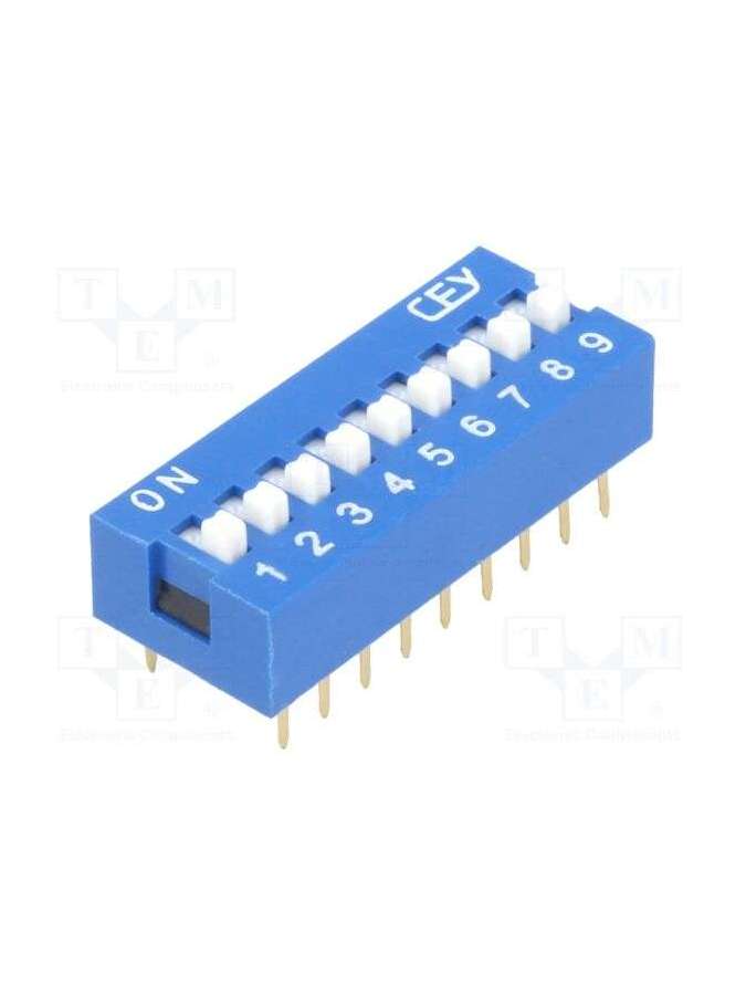 ds-09-ninigi