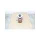 6-qv-11c000s2m2gq-cm2002-flowserve