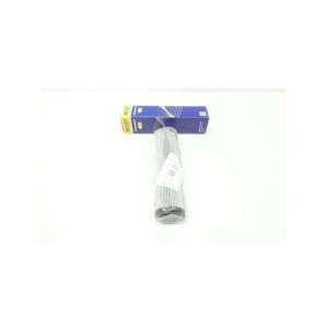 1002311B HENGST