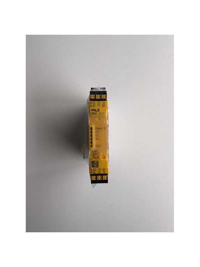 751167-pilz