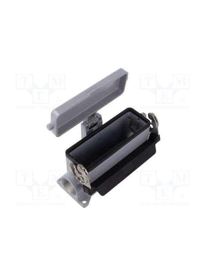 chp 24 ls2-ilme