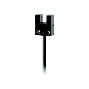eesx954w1m-omron