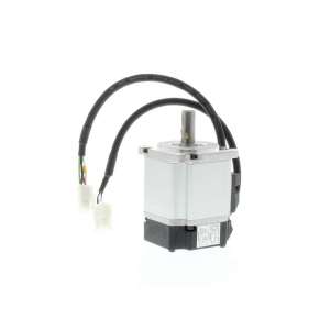 R88M-G10030H-S2 OMRON