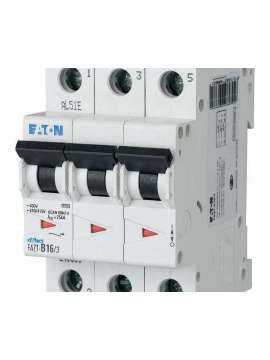 142493-burkert