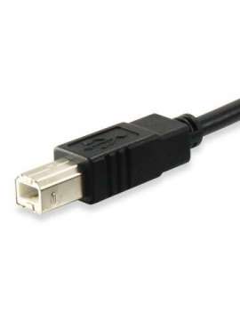 eq12888207-equip