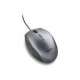 ngs moth gray-ngs