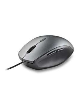 ngs moth gray-ngs