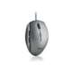 ngs moth gray-ngs