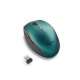 ngs bee blue-ngs