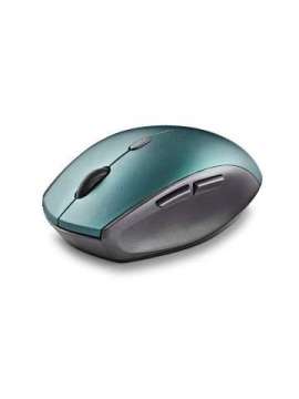 ngs bee blue-ngs