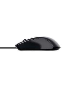 trust mouse carve-trust