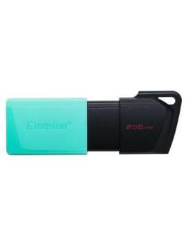 usb256gb dtxm/256-kingston