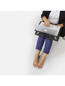 ngs lapnest-ngs