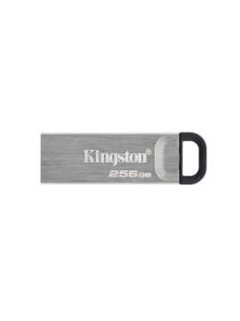 usb256gb dtkn-kingston