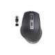 ngs blur-rb-ngs