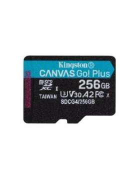 sdmicro256gb king sdcg4/256gb-kingston