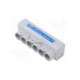 mas6050b10-morek