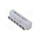 mas6050a10-morek