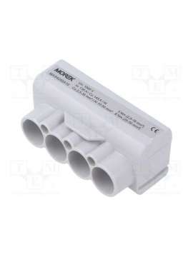 mas4050a10-morek