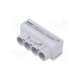 mas4050a10-morek
