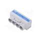mas4050b10-morek