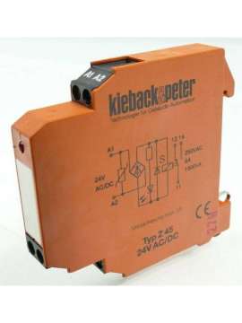 z45-ref-kieback&peter