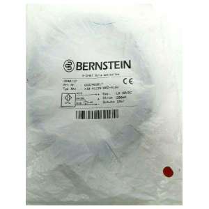6502903017-bernstein