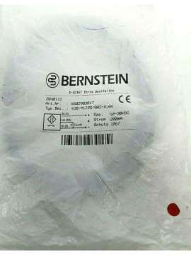 6502903017-bernstein