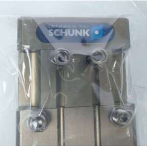 GSM-page SCHUNK