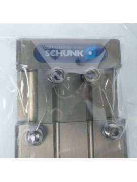gsm-p-schunk