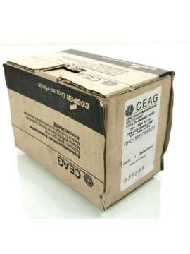 ghg4188170r0051-ceag