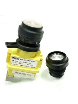 ghg4188170r0051-ceag
