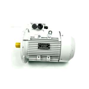 17020284 KRAUTER