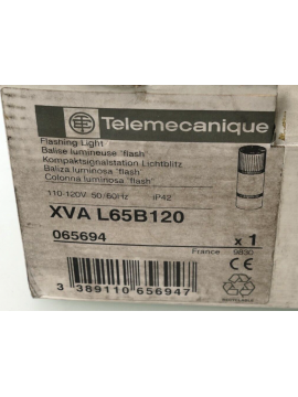 065694-telemecanique