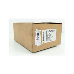 RV6013 IFM ELECTRONIC
