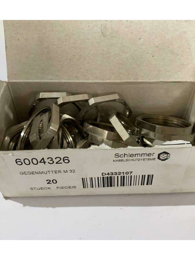 6004326-schlemmer