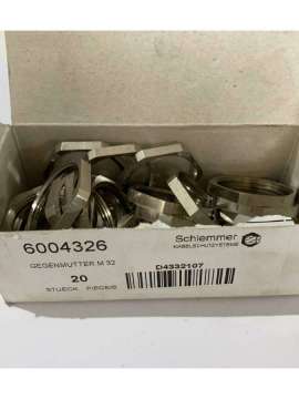 6004326-schlemmer