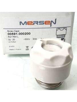 00591.000200-mersen