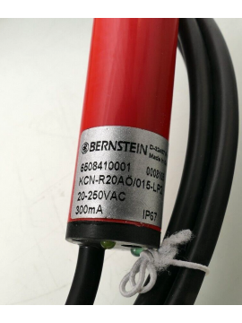 6508410001-bernstein