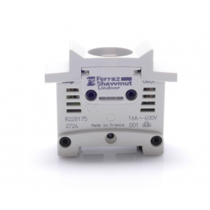R228175 FERRAZ SHAWMUT