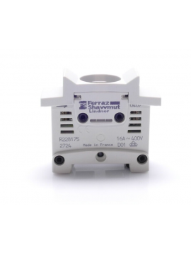 r228175-ferraz shawmut