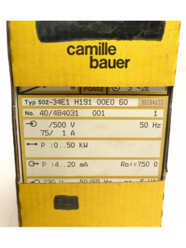 40/484031-camille bauer