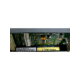 b10615/00-ref-bachmann