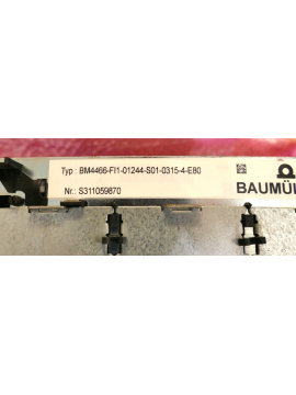 bm4466-fi1-01244-s01-0315-4-e80-baumüller