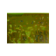 743 873-001-ref-hirschmann